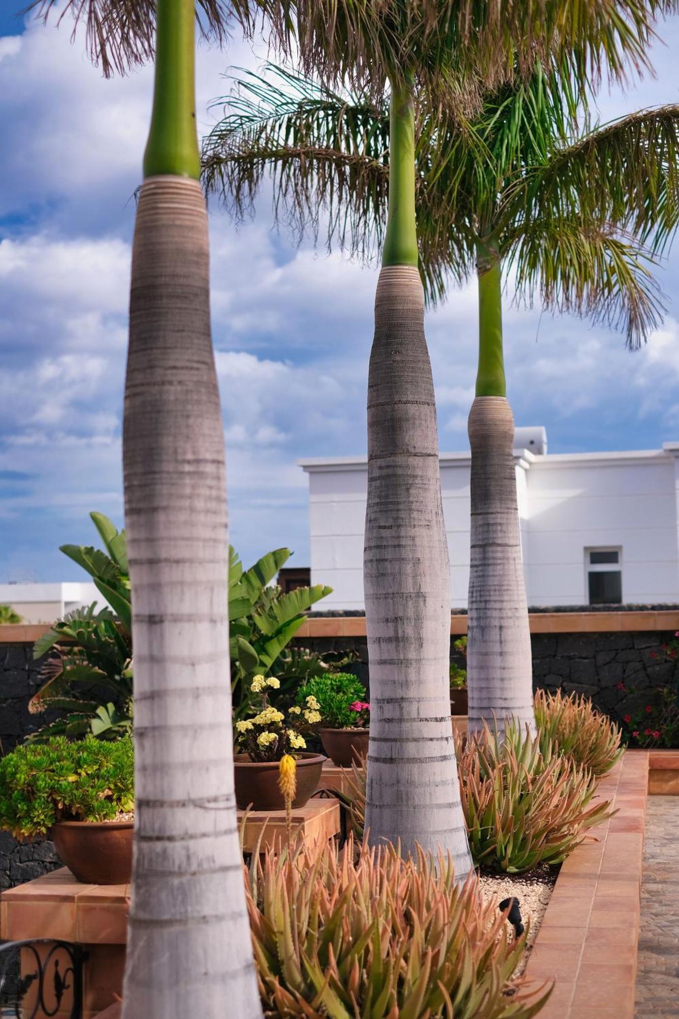Penzion Casa Mia Puerto Calero Exteriér fotografie